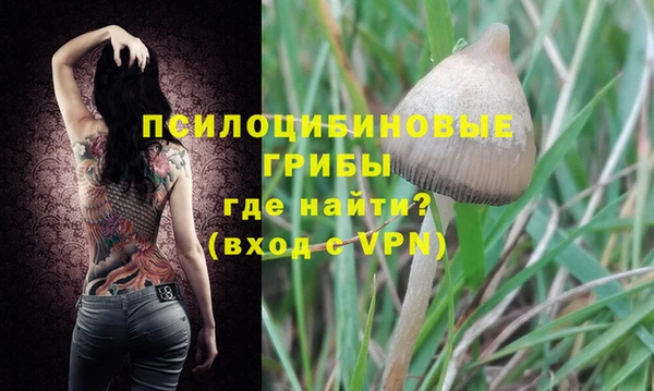 ALPHA-PVP Дмитриев
