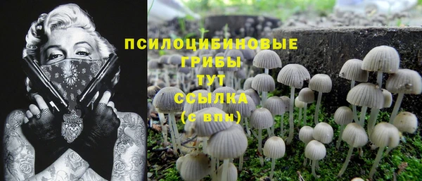 a pvp Елабуга